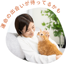 運命の出会いが待ってるかも